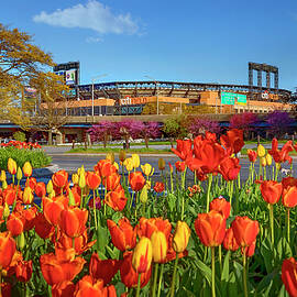 Citifield Stadium, Queens, Nyc by Claudia Uripos