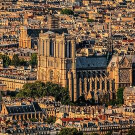 City Of Paris With Notre Dame Cathedral by Antonino Bartuccio