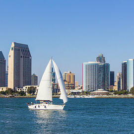 City Skyline Of San Diego, California P by Ron thomas