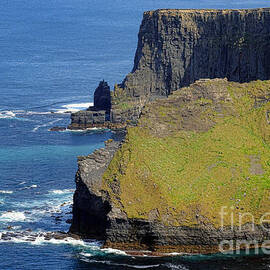  Cliffs of Moher  by Olivier Le Queinec