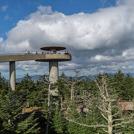 Clingman's Dome by Joe Leone