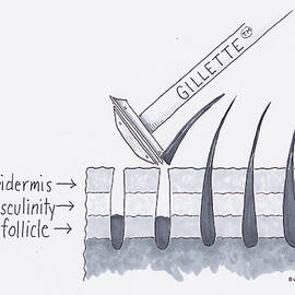 Close Shave by Teresa Burns Parkhurst