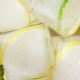 Close Up Of Lemon And Lime Slices Frozen Into Ice Cubes by Jennifer Martine