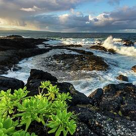 Coastal Landscape by Roland Gerth