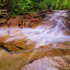 Coliseum in the Forest.  by Jeff Sinon