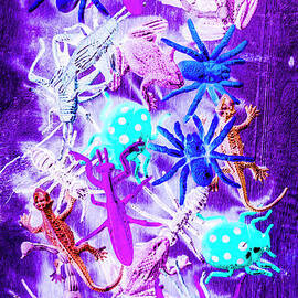 Color faunae by Jorgo Photography