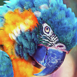 Colorful Parrot - 01 by AM FineArtPrints