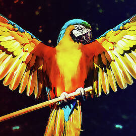 Colorful Parrot - 02 by AM FineArtPrints