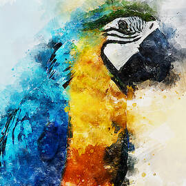 Colorful Parrot - 06 by AM FineArtPrints