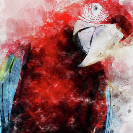 Colorful Parrot - 12 by AM FineArtPrints