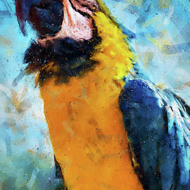 Colorful Parrot - 13 by AM FineArtPrints