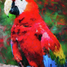 Colorful Parrot - 14 by AM FineArtPrints