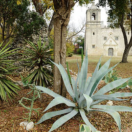 Concepcion Mission, San Antonio Tx by Heeb Photos