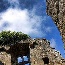 Cong Abbey Ruins by Olivier Le Queinec