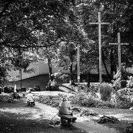 Contemplation by Mary Lee Dereske