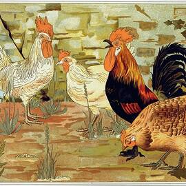 Coqs Et Poules by Maurice Pillard Verneuil