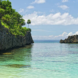 Coral Reef Roatan Honduras by Adventure photo