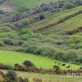County Kerry Landscape by Olivier Le Queinec