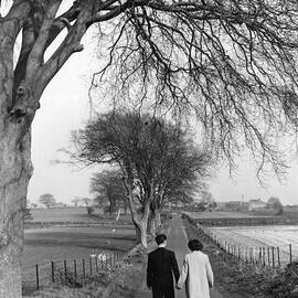 Courting Couple by Charles Hewitt