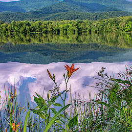 Cove Lake Reflections  by Marcy Wielfaert