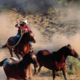 Cowboy Roping Horses by John Luke