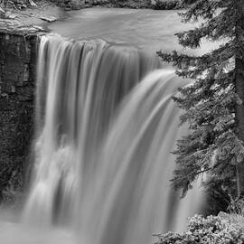 Crescent Falls Wooded Portrait Black And White by Adam Jewell