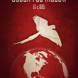 Cuban red macaw by Moira Risen Prints