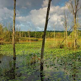 Cuyahoga Valley Np, Ohio by Heeb Photos