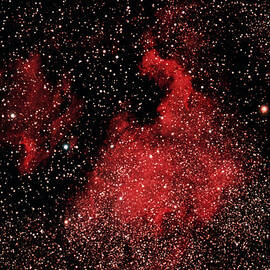Cygnus Constellation Satellite Image by Space Frontiers