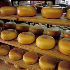 Dairy At Zaanse Schans, Open-air Museum, Netherlands, Europe by Foto Herzig