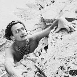 Dali On The Beach by Charles Hewitt