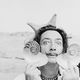 Dali With Shells by Charles Hewitt