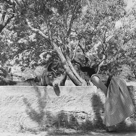 Dancer And Donkey by Keystone Features