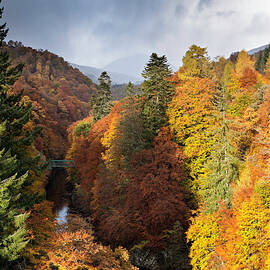Deep Gorge With Autumnal Trees In Snow by Simon Butterworth