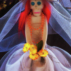 Dia De Los Muertos Spooky Candy Catrina by Tatiana Travelways