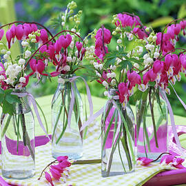 Dicentra, Convallaria In Glass Bottles by Friedrich Strauss