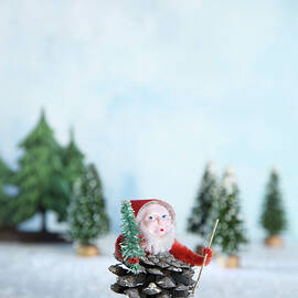 Diy Gnome Made From Pine Cones On Skis In Artificial Snow by Thordis Rüggeberg