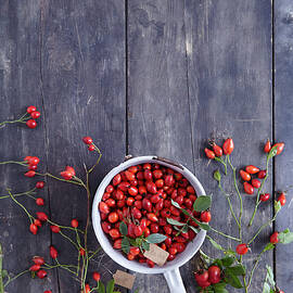 Dog Rose rosa Canina And Potato Rose rosa Rugosa Rose Hips In A Colander by Anke Schütz