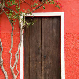 Doorway by Livingimages