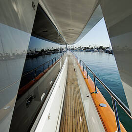 double vision by David Shuler