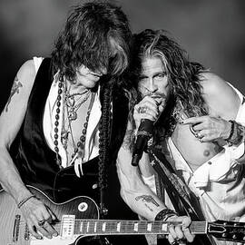Download Festival 2014 - Day 3 by Neil Lupin
