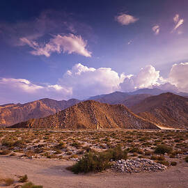 Dramatic Palm Springs Landscape by Halbergman