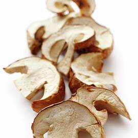 Dried Ceps by Petr Gross