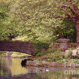 Dublin St Stephen Green Stone Bridge by Olivier Le Queinec