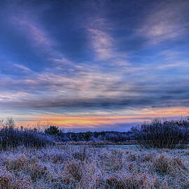 Duck Pond Dawn by Dale Kauzlaric