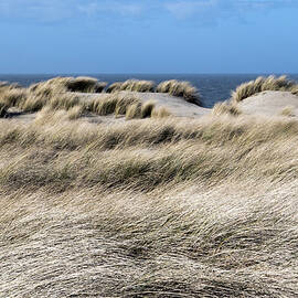 Dunes, Domburg, North Sea Coast, Zeeland, Netherlands by Ernst Wrba