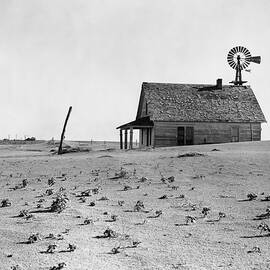 Dust Bowl Farm In Texas by Bettmann