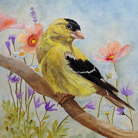 Early Spring American Goldfinch by Angeles M Pomata