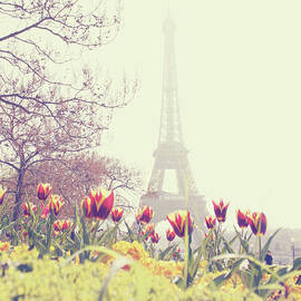 Eiffel Tower With Tulips by Gabriela D Costa
