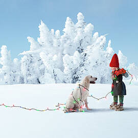 Elf Decorating Dog With Christmas Lights by Per Breiehagen